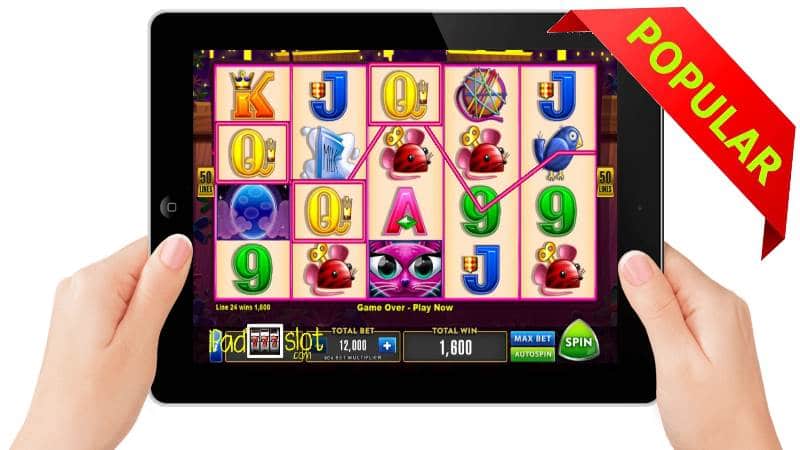 Miss Kitty Gold Free Slots App Guide