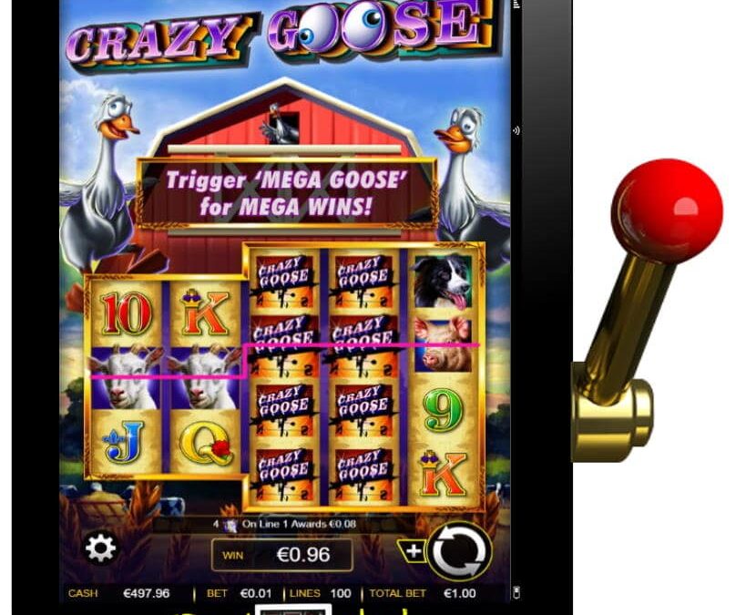 Crazy Goose Free IGT Slot Review