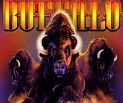 Buffalo