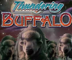 Thundering Buffalo