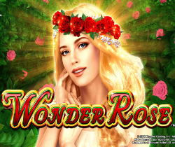 Wonder Rose