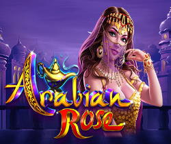 Arabian Rose