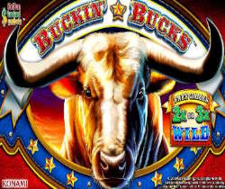 Buckin' Bucks