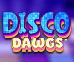 Disco Dawgs