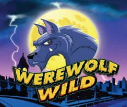 Werewolf Wild